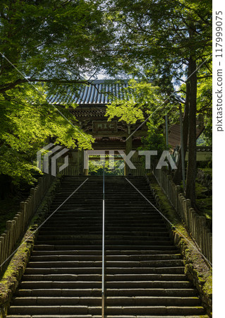 Niomon Gate of Kongoshoji Temple in Dake, Asakuma-cho, Ise City, Mie Prefecture, Japan 117999075