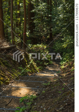三重縣志摩市磯部町天野岩戶境內風景 三重縣志摩市磯部町天野岩戶境內風景 117999670