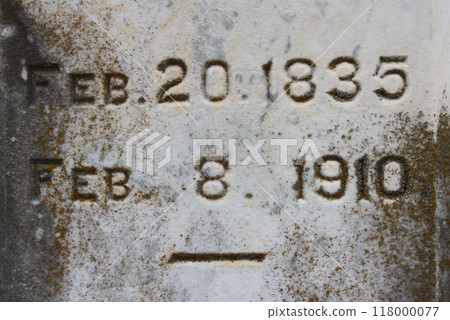 Historic Headstones in Rural East Texas Cemetery Historic Headstones in Rural East Texas Cemetery 118000077