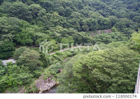 奧加河附近的樹木景觀 118000174