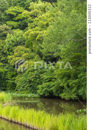 Magatama Pond at the Geku of Ise Grand Shrine in Ise City, Mie Prefecture, Japan 118000322