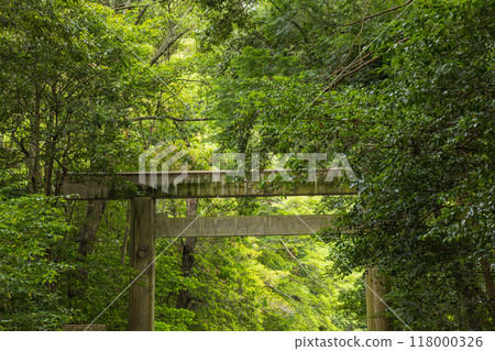 Torii gate of the Outer Shrine of Ise Grand Shrine in Ise City, Mie Prefecture, Japan 118000326