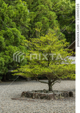 The four gods of the outer shrine of Ise Grand Shrine in Ise City, Mie Prefecture, Japan 118000328