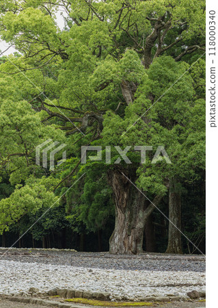 The ancient site of the Outer Shrine of Ise Grand Shrine in Ise City, Mie Prefecture, Japan 118000340