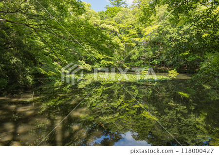The pond at the Inner Shrine of Ise Grand Shrine in Ise City, Mie Prefecture, Japan 118000427