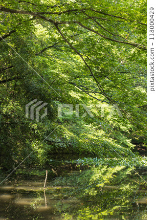 The pond at the Inner Shrine of Ise Grand Shrine in Ise City, Mie Prefecture, Japan 118000429