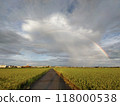 Rainbow  118000538