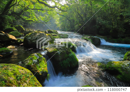 The light shines through Kikuchi Valley (Kikuchi City, Kumamoto Prefecture) 118000747