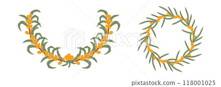 Illustration featuring two sea buckthorn berry wreaths with green leaves, arranged in circular patterns of the bright orange berries and fresh foliage. 118001025