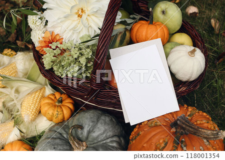 Autumn still life. Pumpkins, corns and dahlia flowers. Apples and grapes fruit in basket. Garden fall harvest. Blank greeting card invitation mockup Thanksgiving outdoor arrangement, Halloween concept 118001354