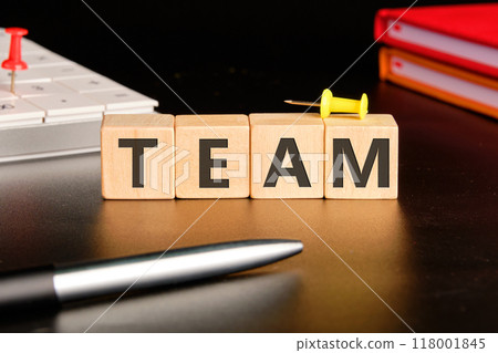 Business concept, the concept word TEAM on wooden cubes in front of a black background 118001845