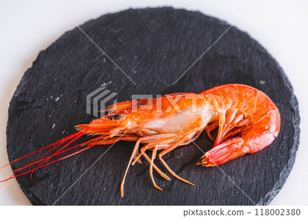 紅蝦 118002380