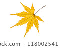 Autumn leaves (yellow) 118002541