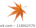 Autumn leaves 118002570