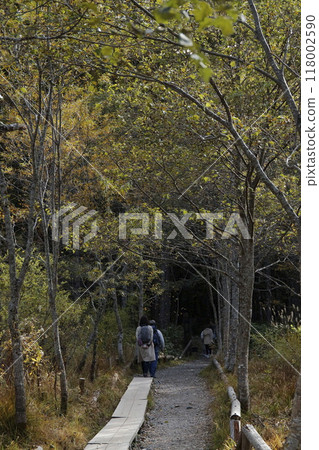 散步 散步 118002590