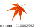 Autumn leaves 118002592