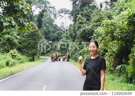 Woman tourist with group of elephants behide in National Park. 118002689