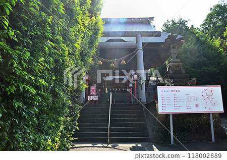 Sanyasu Shrine, the god of child rearing in Shimooyacho, Maebashi City, Gunma Prefecture, shining in the morning sun 118002889
