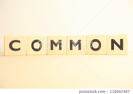 COMMON（普通/通用）人物素材 118002987