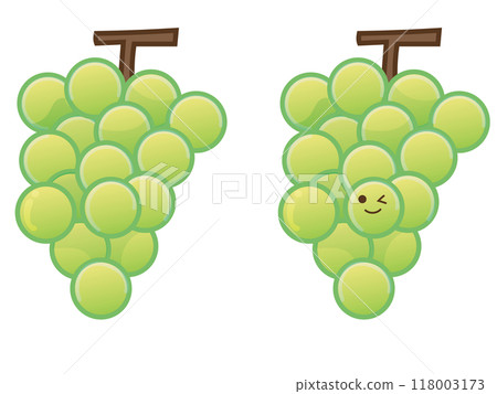 Muscat Muscat 118003173