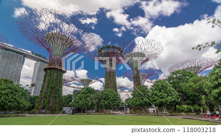 Futuristic view of amazing supertrees at Garden by the Bay timelapse hyperlapse in Singapore. Futuristic view of amazing supertrees at Garden by the Bay timelapse hyperlapse in Singapore. 118003218