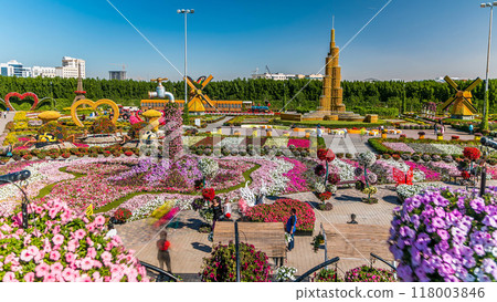 Dubai miracle garden timelapse with over 45 million flowers in a sunny day, United Arab Emirates Dubai miracle garden timelapse with over 45 million flowers in a sunny day, United Arab Emirates 118003846