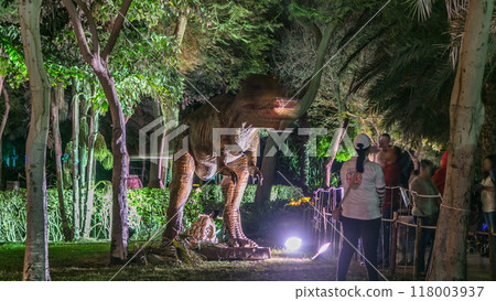 Dubai Glow Garden timelapse with illuminated trees and sculptures Dubai Glow Garden timelapse with illuminated trees and sculptures 118003937