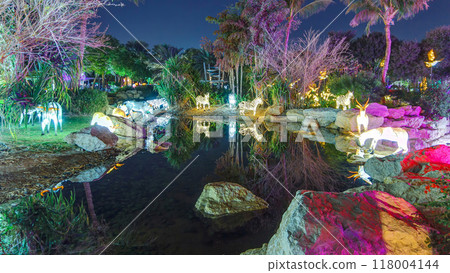 Dubai Glow Garden timelapse with illuminated trees and sculptures Dubai Glow Garden timelapse with illuminated trees and sculptures 118004144