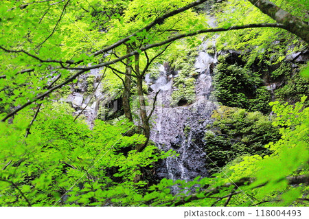 Naginata Rock in the hidden area of Sukkansawa in Nasu-Shiobara 118004493