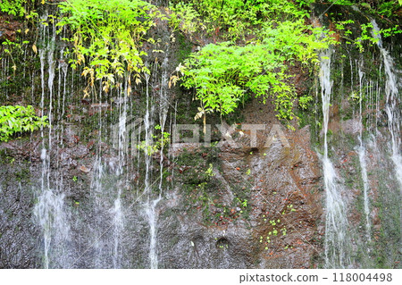 Longevity Waterfall Spring Water / Nasushiobara City Prefectural Road 56 118004498