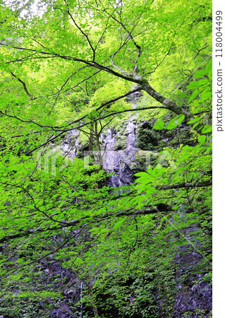 Naginata Rock in the hidden area of Sukkansawa in Nasu-Shiobara 118004499