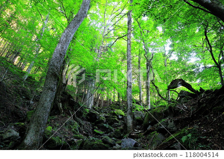 The hidden area of Nasu-Shiobara, Sukkansawa and the Yuhinotaki Waterfall Trail The hidden area of Nasu-Shiobara, Sukkansawa and the Yuhinotaki Waterfall Trail 118004514
