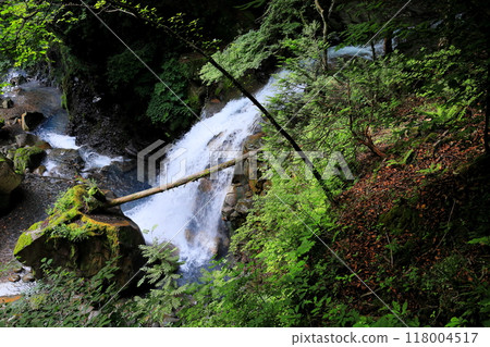 那須鹽原的未開發地區、Sukanzawa、瀑布之旅、Nisaburo瀑布 那須鹽原的未開發地區、Sukanzawa、瀑布之旅、Nisaburo瀑布 118004517