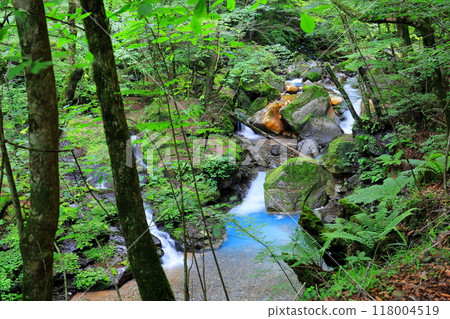那須鹽原的祕境 水坎澤瀑布之旅 Soren no Taki 那須鹽原的祕境 水坎澤瀑布之旅 Soren no Taki 118004519