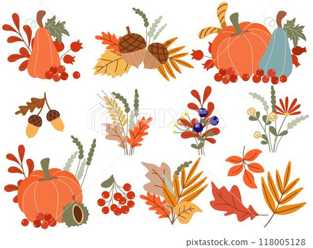 Set of autumn compositions with pumpkin, acorns, rowan berries, leaves and chestnut 118005128