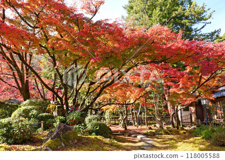 Tatsuno公園秋葉 Tatsuno公園秋葉 118005588