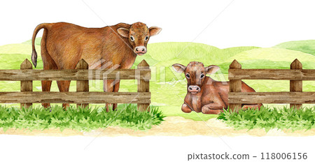 Couple of cows on meadow green grass protected with wooden fence with center entrance. Painted illustration. Farm pasture with cattle surrounded by wooden fence. Countryside farm field landscape Couple of cows on meadow green grass protected with wooden fence with center entrance. Painted illustration. Farm pasture with cattle surrounded by wooden fence. Countryside farm field landscape 118006156