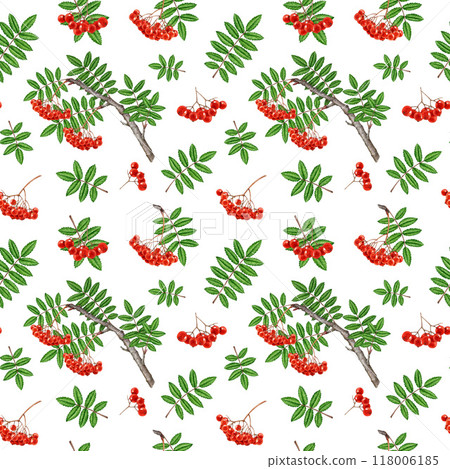Rowan tree branch, red berries, green leaf seamless pattern. Watercolor painted vintage style illustration. Hand drawn organic natural rowanberry seamless pattern design element on white background 118006185