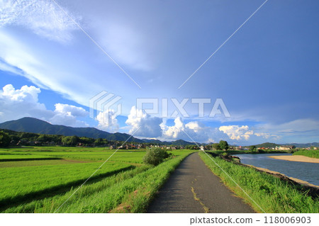 A summer rural landscape with a striking green color A summer rural landscape with a striking green color 118006903