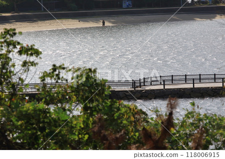 Autumn sand beach 118006915