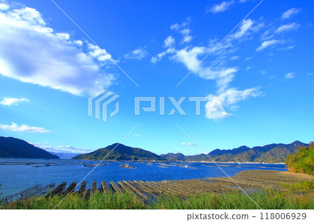 Many oysters grow in the naturally rich Etajima 118006929