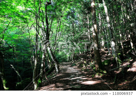 The hidden area of Nasu-Shiobara, Sukkansawa and the Yuhinotaki Waterfall Trail The hidden area of Nasu-Shiobara, Sukkansawa and the Yuhinotaki Waterfall Trail 118006937