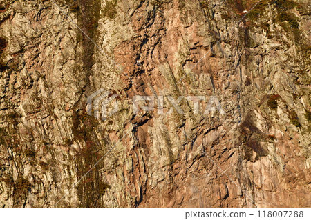 八木鼻（新潟縣） 118007288