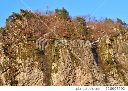 Yagigahana (Niigata Prefecture) 118007292