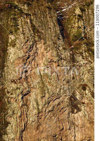 Yagigahana (Niigata Prefecture) 118007296