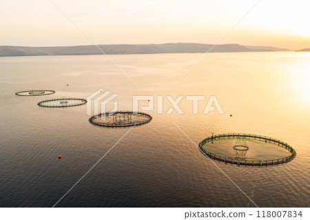 Circular fish farming enclosures float on a calm sea as the sun sets behind the mountains Circular fish farming enclosures float on a calm sea as the sun sets behind the mountains 118007834