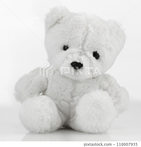 Small white Teddy Bear on white 118007935