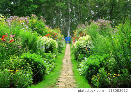 Ueno Farm Mirror Border in Early Summer Ueno Farm Mirror Border in Early Summer 118008012