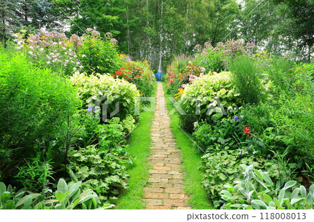 初夏的上野農場鏡邊 118008013