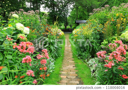 Ueno Farm Mirror Border in Early Summer 118008016
